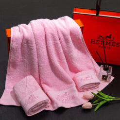 hermes beach towel